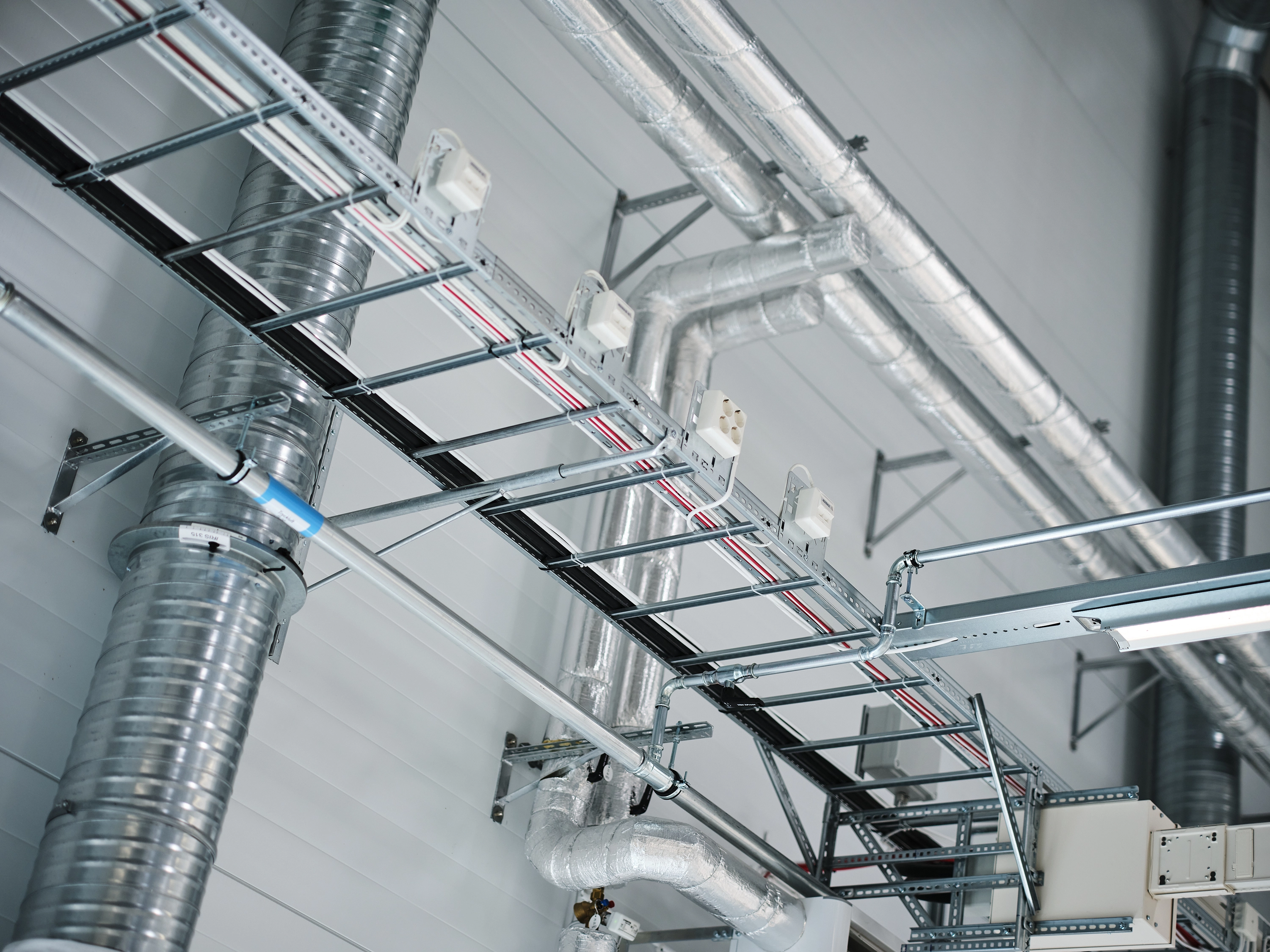 projekt montage (8).webp