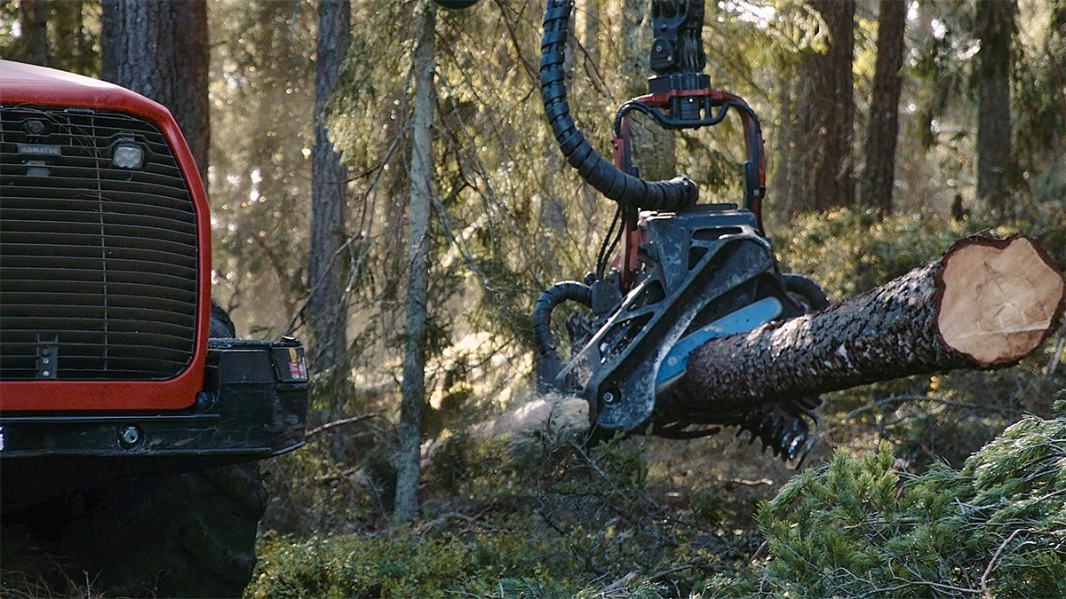 Forest machine that works in the forest